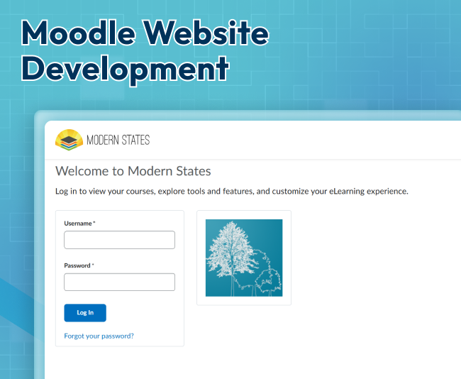 Website developed in Moodle for NGO of USA - Modern States Education Alliance